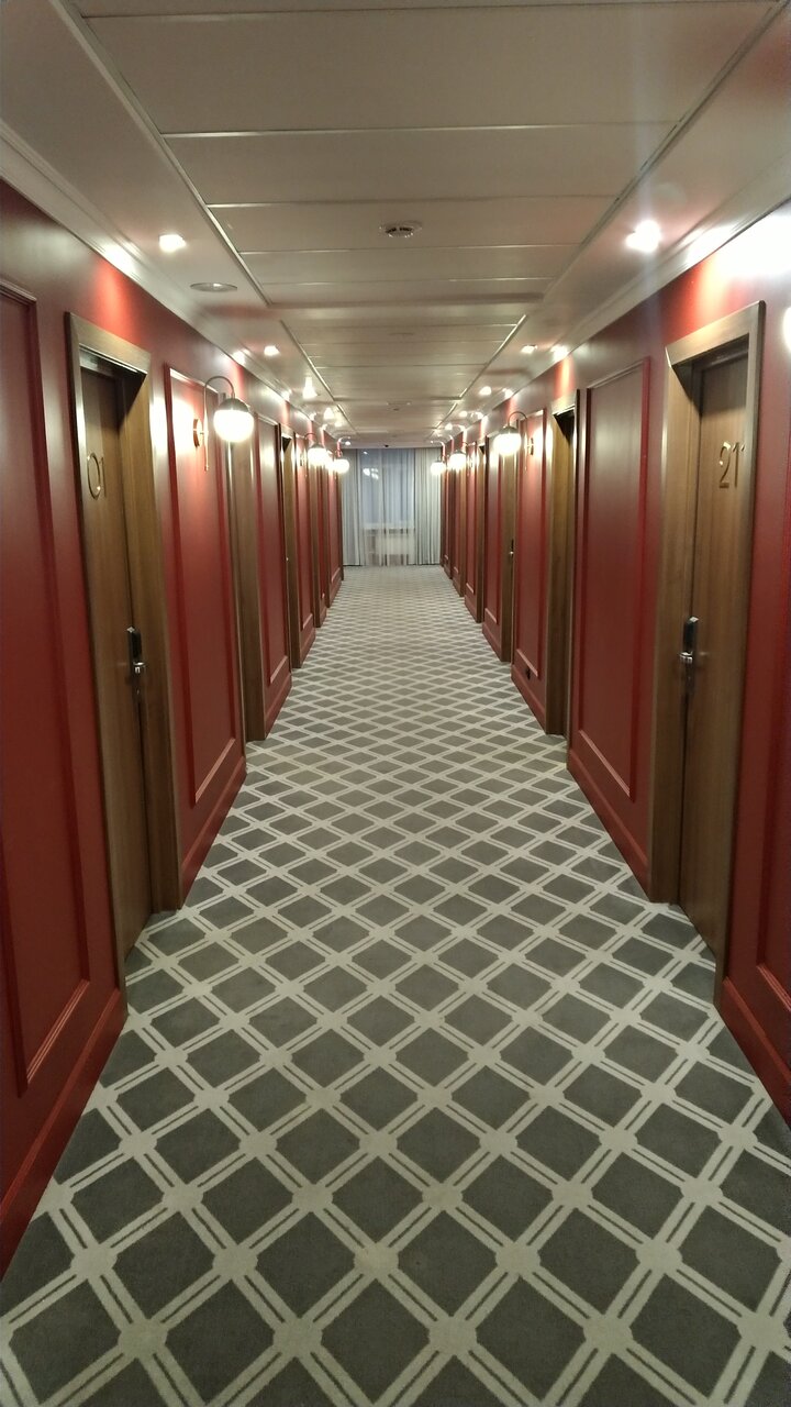 Гостиница Алтай Барнаул-208