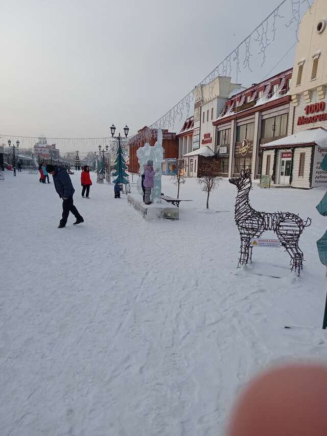 Гостиница Алтай Барнаул-12